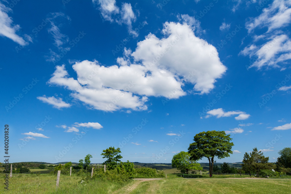 Obraz premium Eifellandschaft im Sommer