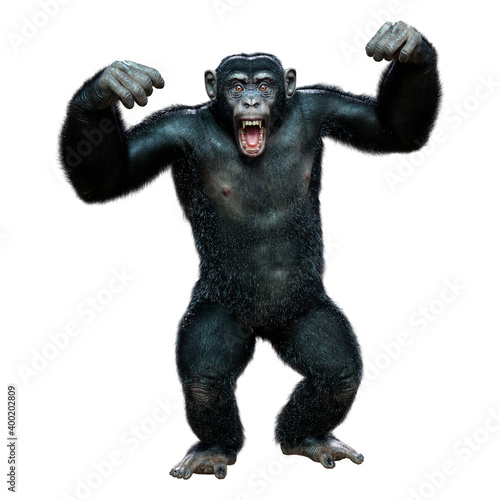 3D Rendering Chimpanzee on White