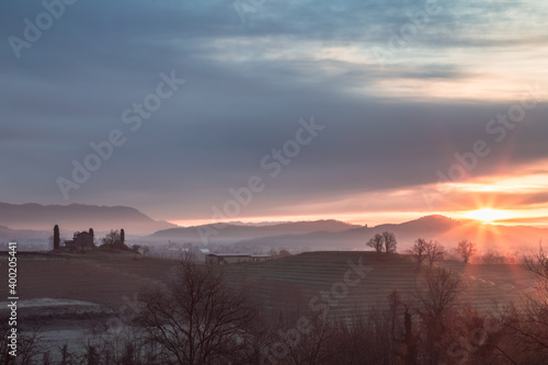 Cold misty morning in the vineyards of Italy