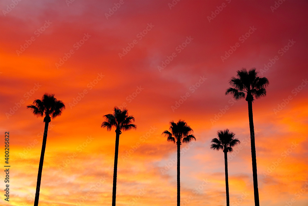 Sunrise and Palms