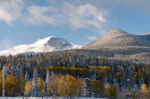 landscape in the mountains