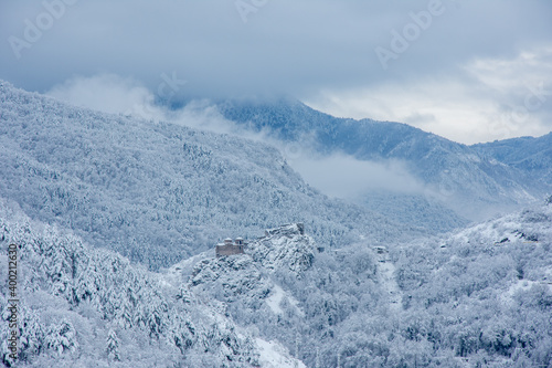 Wallpaper Mural Winter walk into forest  Torontodigital.ca