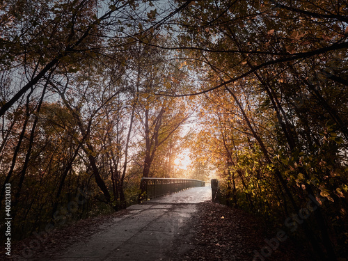 Alley in the autumn park with colorful trees and sunlight.