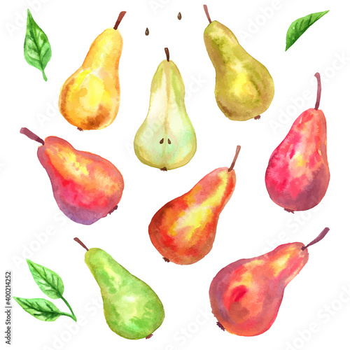 Different pears. Red. yellow, green, cut, green leaves. Hand drawn watercolor illustration. Isolated on white background.