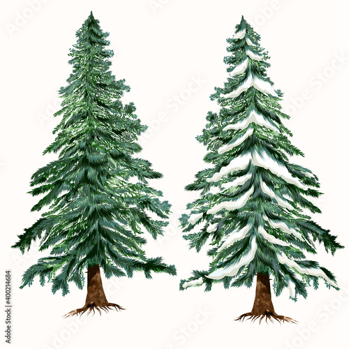 Set of vector Christmas trees, green fur trees in hand drawn watercolor style for design