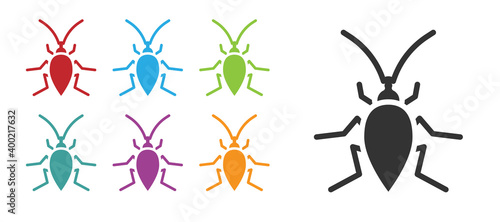 Black Cockroach icon isolated on white background. Set icons colorful. Vector.