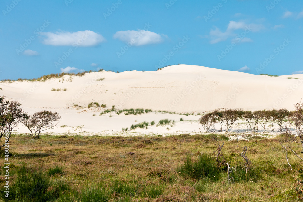 High sand dune near Bergen, North Holland High sand dune near Bergen, North Holland
