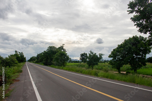 A country road with a gray sky in a corn field