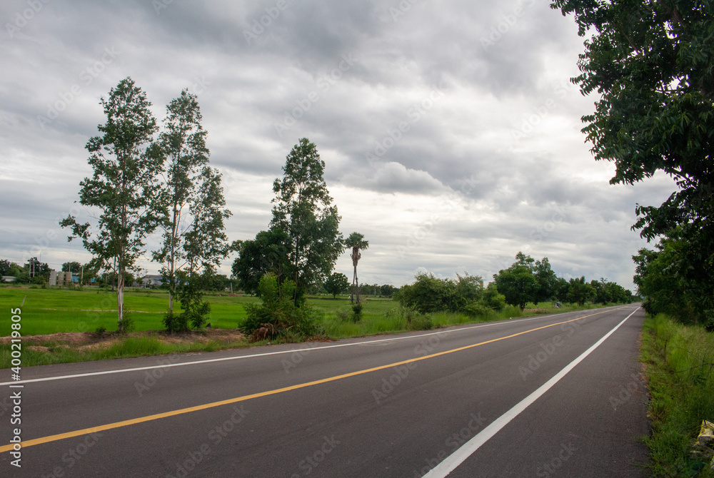 Naklejka premium A country road with a gray sky in a corn field