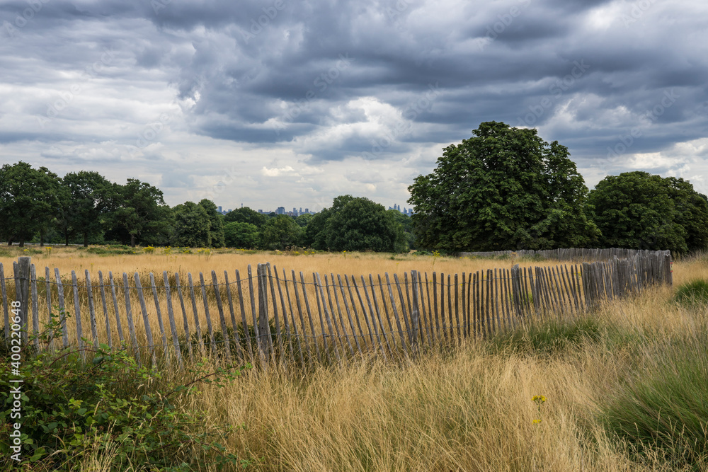 Richmond Park  in the city of London.