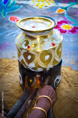 Traditional homemade Thai Pongal festival celebration harvest dedicated farmer celebration cooking colorful rangoli bronze pot wood fire wood stove wallpaper photo