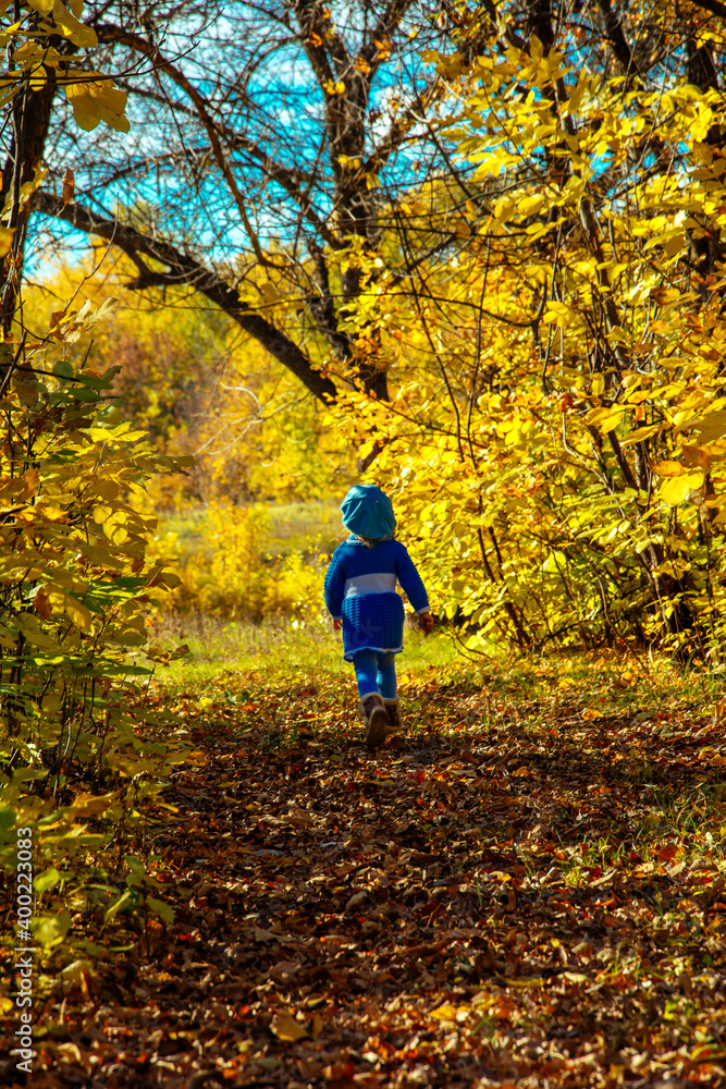 autumn, park, trail, child, girl, yellow, blue, trees autumn, park, trail, child, girl, yellow, blue, trees