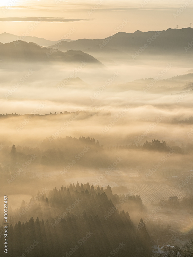 Fototapeta premium 夜久野の雲海