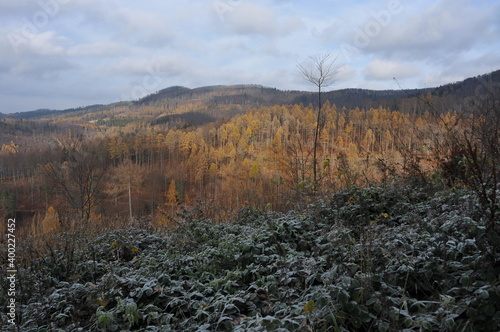 Bardzkie Mountains, Poland photo