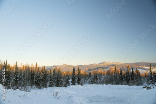 mountain winter landscape in sunny weather, horizontal photography, fir trees grow on the mountains, bright yellow sunlight falls on the mountains © Maxim