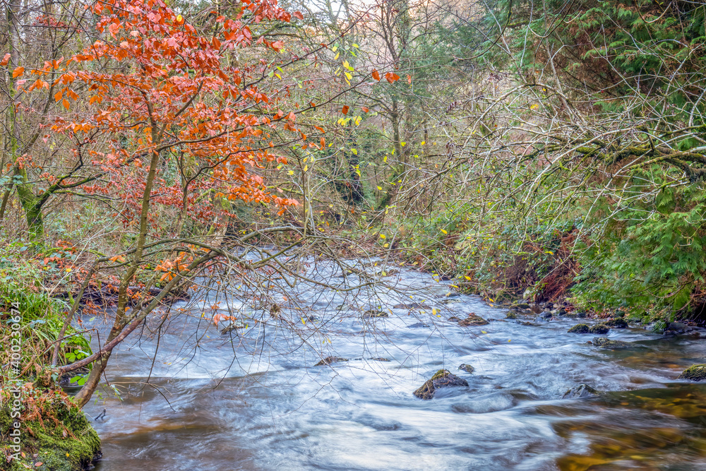 Autumn stream in Skaigh Valley, Belstone, edge of Dartmoor National Park, England. Autumn stream in Skaigh Valley, Belstone, edge of Dartmoor National Park, England.