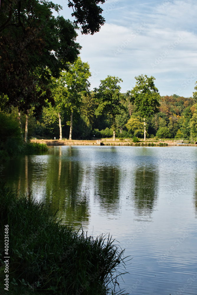 Obraz premium One of the six ponds at Black Pond in Germany.