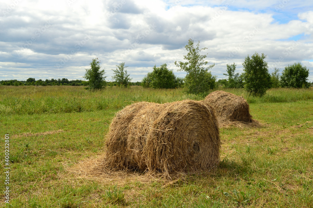 Natural summer background on a haystack field.