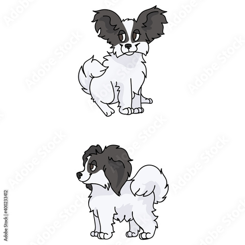 Cute cartoon papillon puppy breed vector clipart. Pedigree kennel doggie breed for dog lovers. Purebred domestic dog for pet parlor illustration mascot. Isolated canine fluffy. 