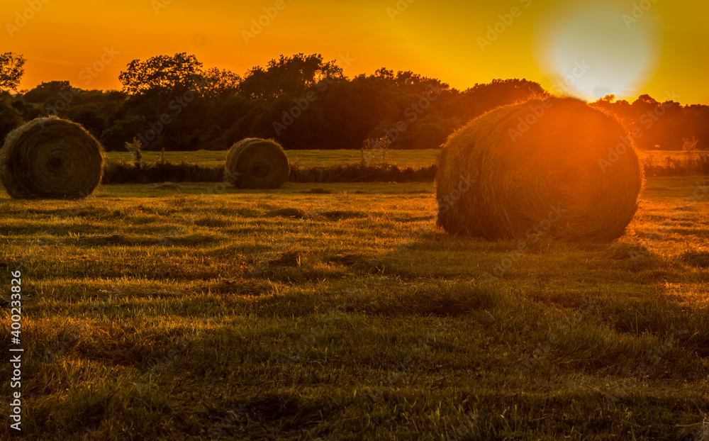 Hay Bales in The Field at Sunset, Washington County, Texas, USA