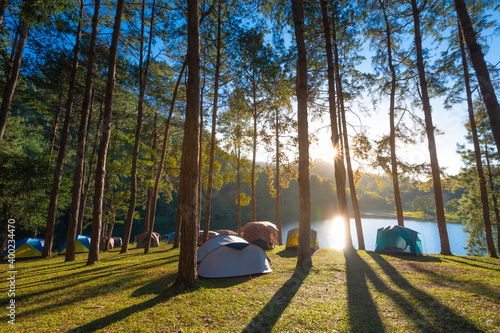 Beautiful scene of Pang Oung national park in pine forest in Mae Hong Son province, Thailand