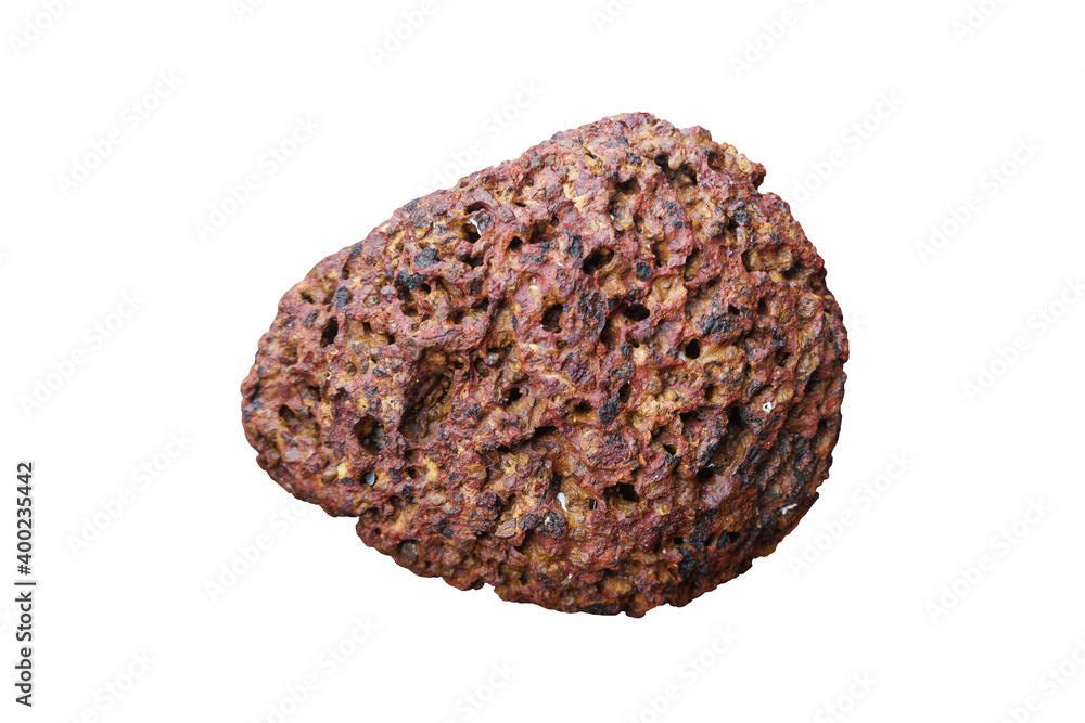 raw specimen of Laterite rock isolated on white background.