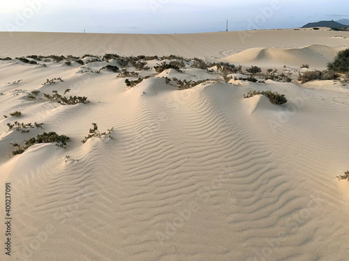 Corralejo dunes