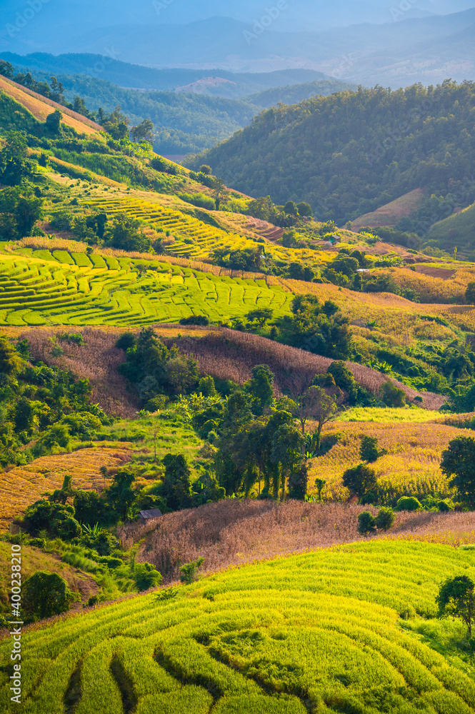 Obraz premium Rice terrace field in Ban Pa Bong Piang village in Mae Chaem District, Chiang Mai Province, Thailand