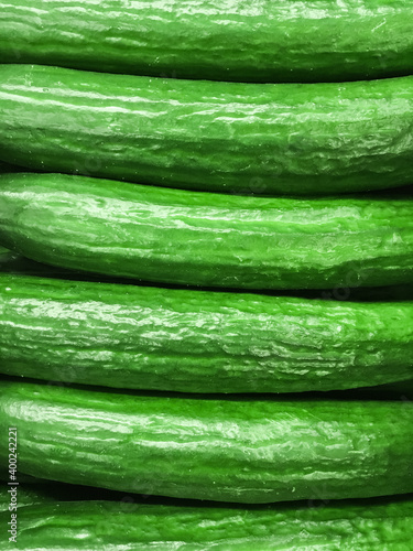 Delicious long pimpled green cucumbers