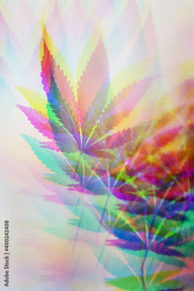 Trippy and psychedelic cannabis leaf. Hallucinations caused by cannabis or marijuana. Weird and wild cannabis background. The use of drugs to alter your mind.  - obrazy, fototapety, plakaty 