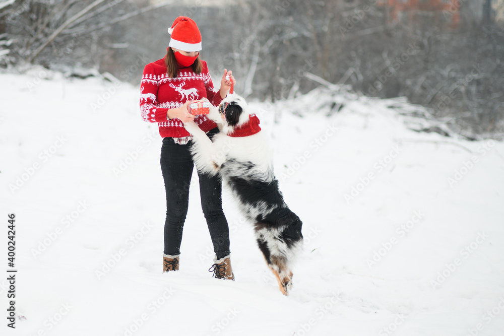 woman in face mask and Christmas sweater playing with Australian shepherd