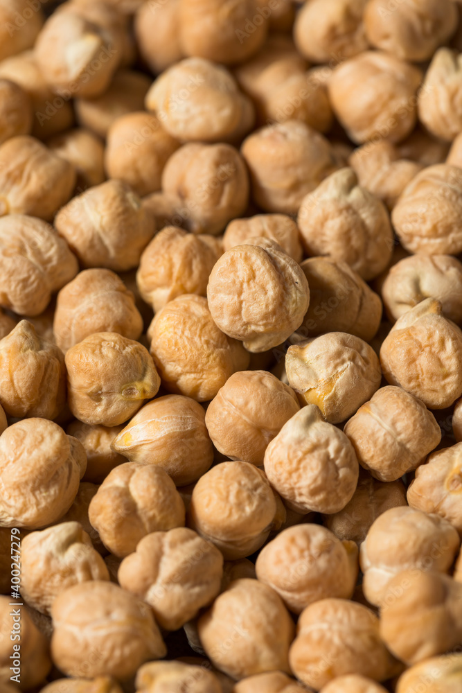 Dry Organic Chickpea Garbanzo Beans