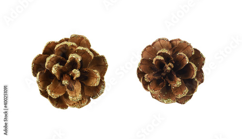 Set of pine cones with gold...