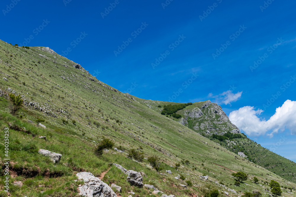 landscape in the mountains