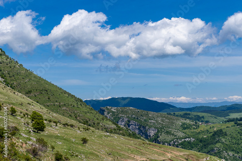 landscape in summer