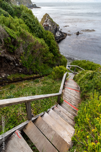 Ladder to Cape Horn Island, the southernmost point of South America in Chile.