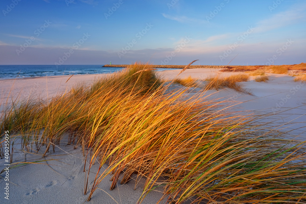 Wydmy na wybrzeżu Morza Bałtyckiego,plaża, trawa,biały piasek,Kołobrzeg,Polska.