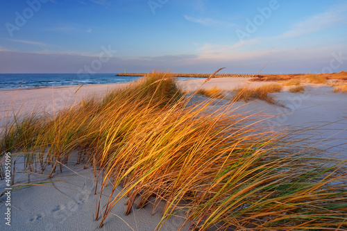 Obraz na płótnie Wydmy na wybrzeżu Morza Bałtyckiego,plaża, trawa,biały piasek,Kołobrzeg,Polska. w salonie