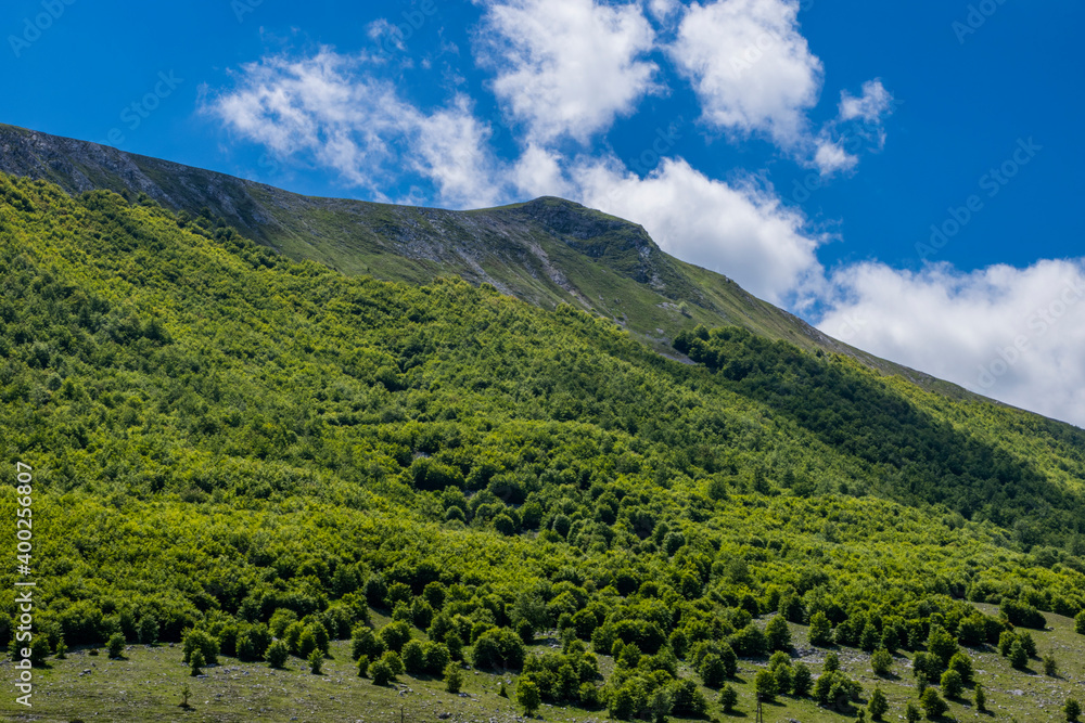 Obraz premium landscape in the summer