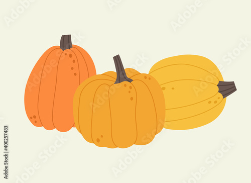 Vector illustration of pumpkin in different colors on a beige background. Hand-drawn set. Trendy pumpkin set. Suitable for illustrating healthy eating, recipes, local farm.