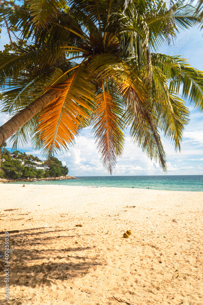 Tropikalny krajobraz ujęcie plaży z palmami i oceanem.