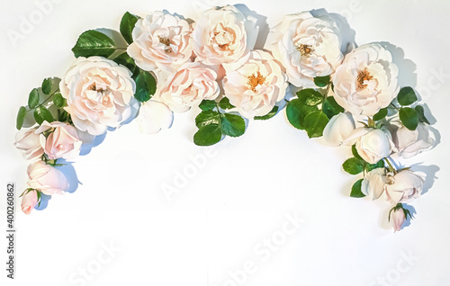 Flowers composition. Rose flowers on white background. Flat lay, top view, copy space. Background for Valentine's Day card. Border frame.