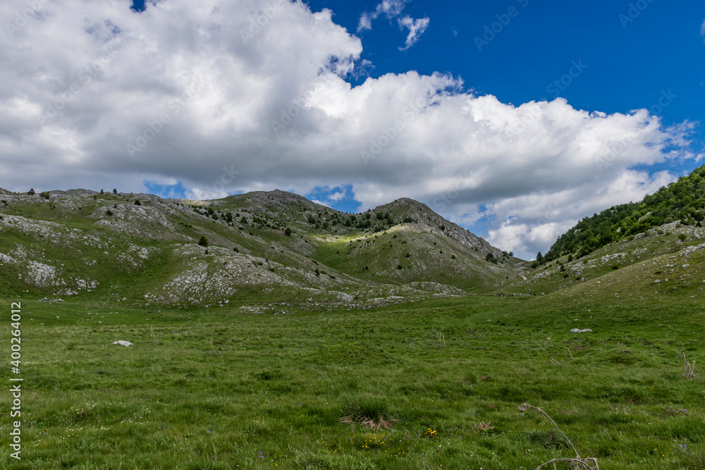 landscape in summer