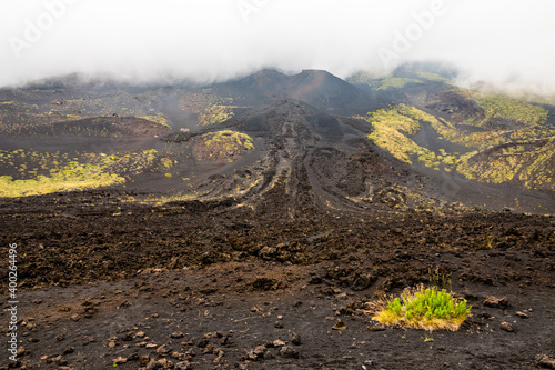 Mount Etna volcanic landscape and its typical summer vegetation photo