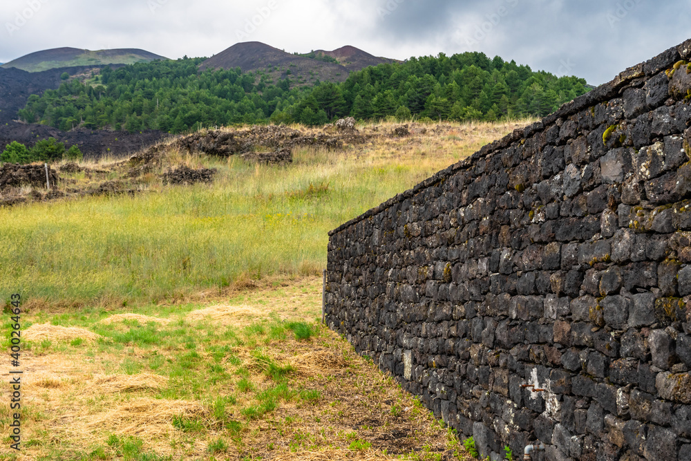 Mount Etna volcanic landscape and its typical summer vegetation