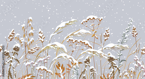 Seamless border with Meadow Plants under the Snowfall