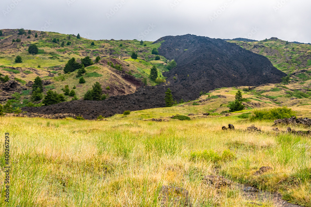 Mount Etna volcanic landscape and its typical summer vegetation