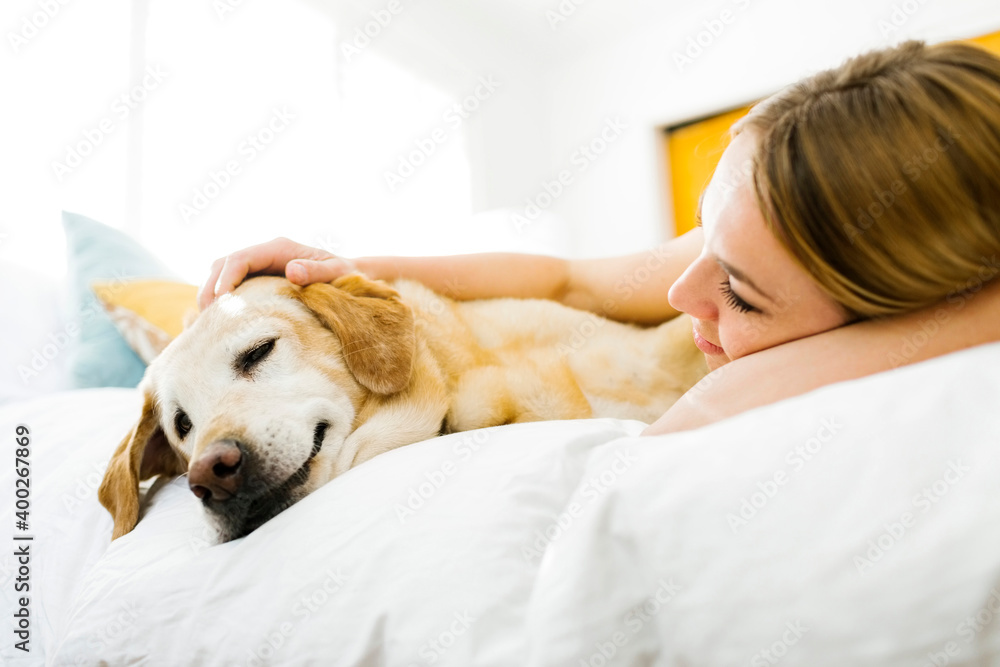 Young woman stroking golden retriever in bed Young woman stroking golden retriever in bed