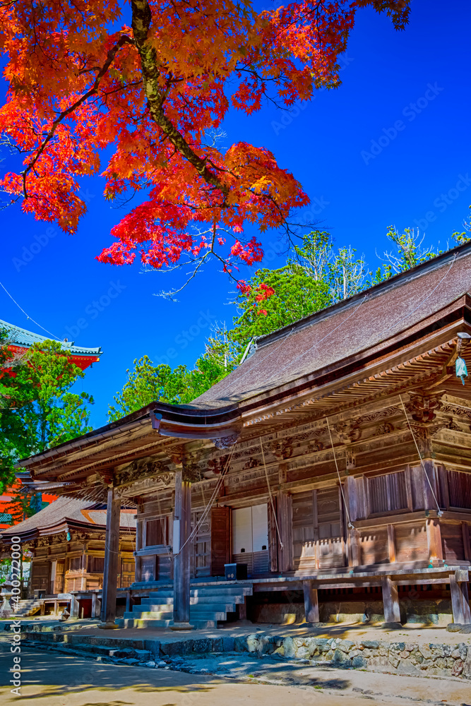 View of Danjo Garan Sacred Temple with Line Seasonal Red Maples at Mount Koya in Japan.