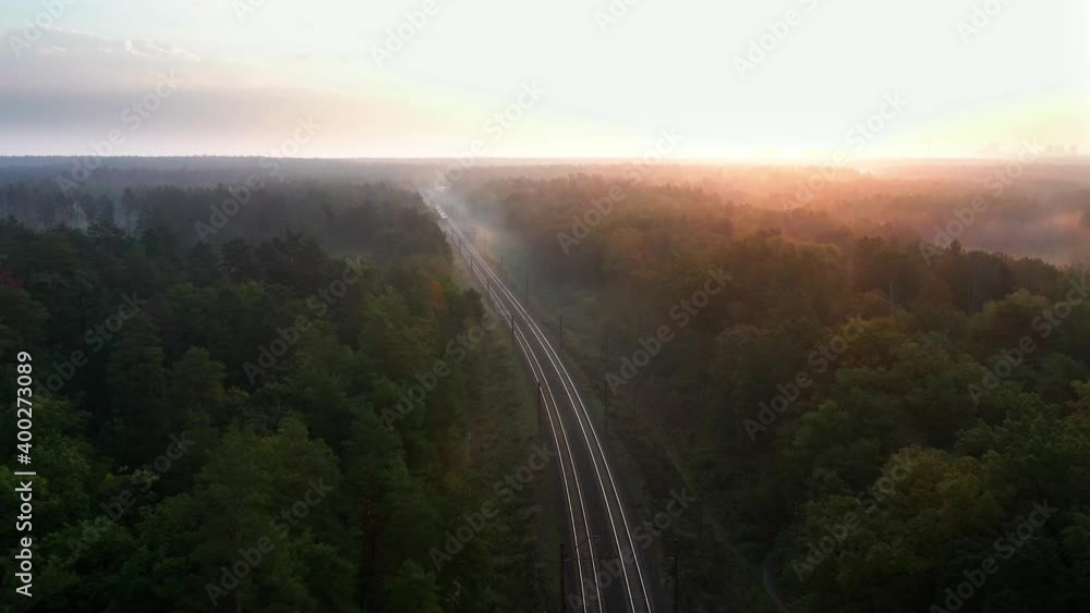 Electric suburban train travels by rail in foggy forest at sunrise from aerial view.